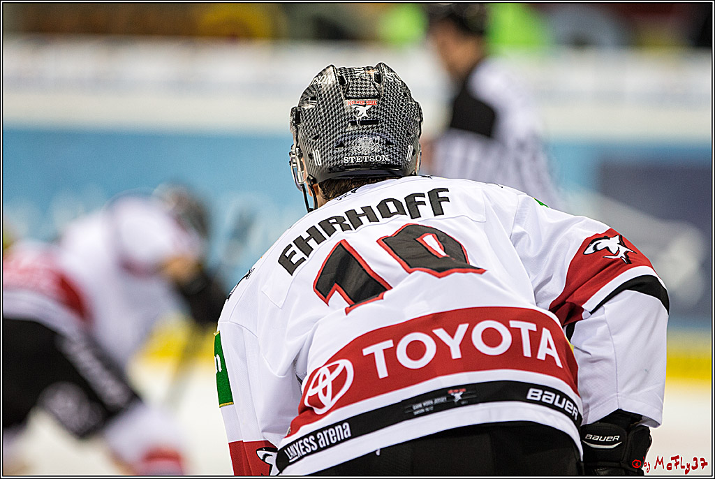 DEL, Koelner Haie - Duesseldorfer EGY, 22.01.2017